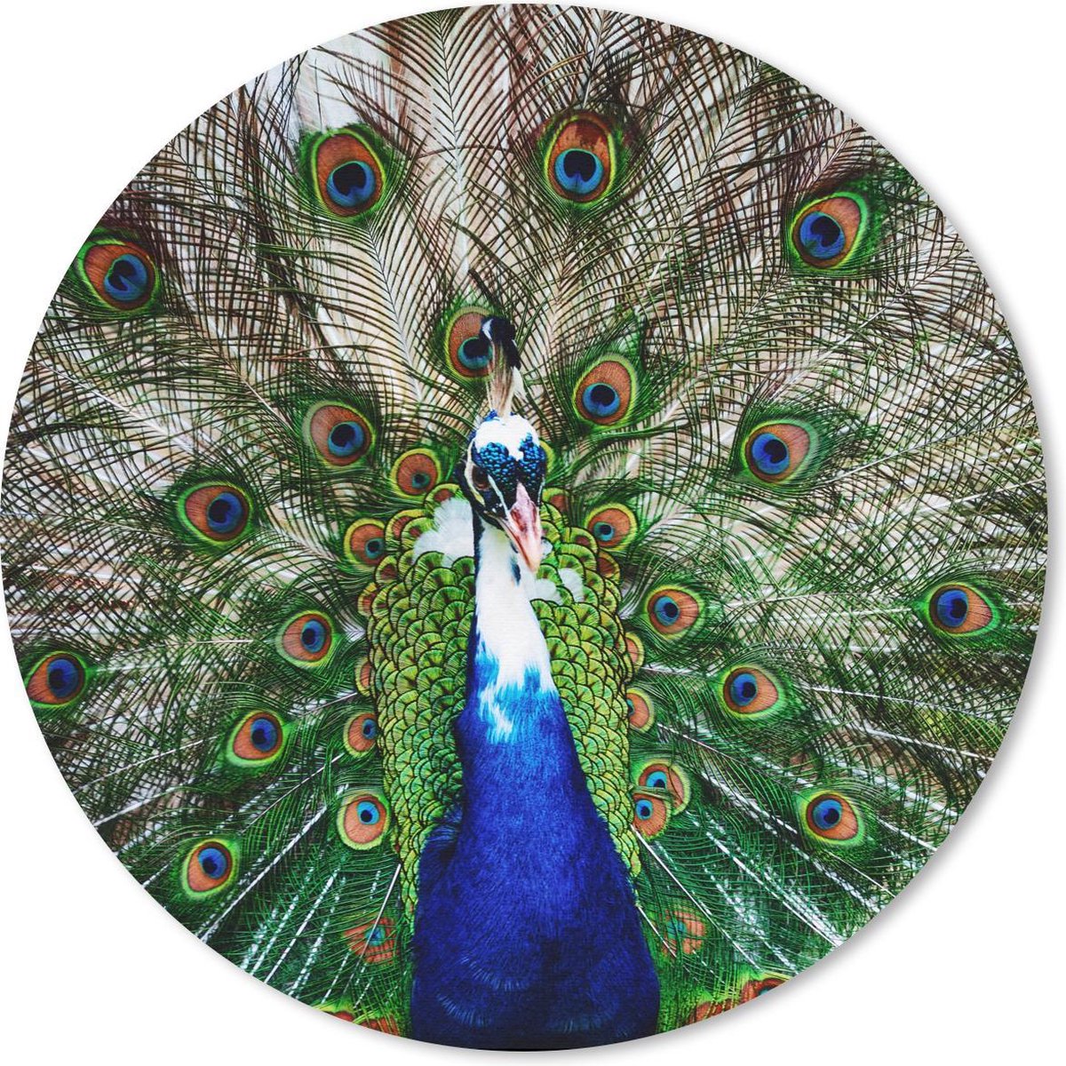 Muismat rond 50x50 cm - Mousepad Pauw - Veren - Vitiligo - Ronde muismatten