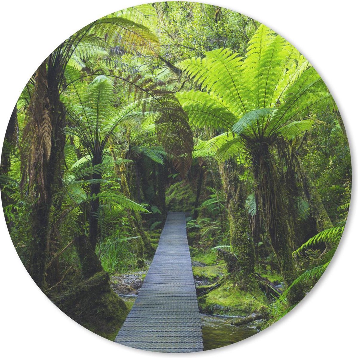 Muismat rond 40x40 cm - Mousepad Nieuw-Zeeland - Pad - Jungle - Ronde muismatten