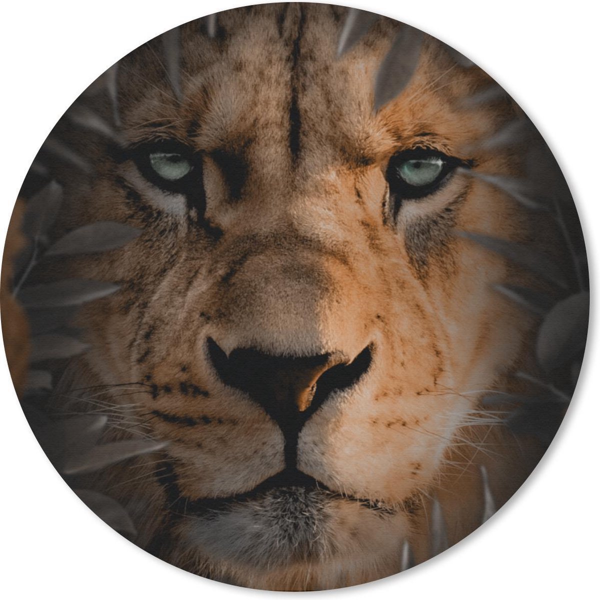 Muismat rond 50x50 cm - Mousepad Dieren - Leeuw - Natuur - Ronde muismatten