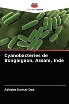 Cyanobactéries de Bongaigaon, Assam, Inde