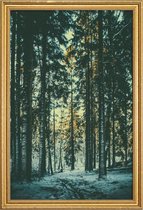 JUNIQE - Poster met houten lijst Bosbomen foto -40x60 /Groen &