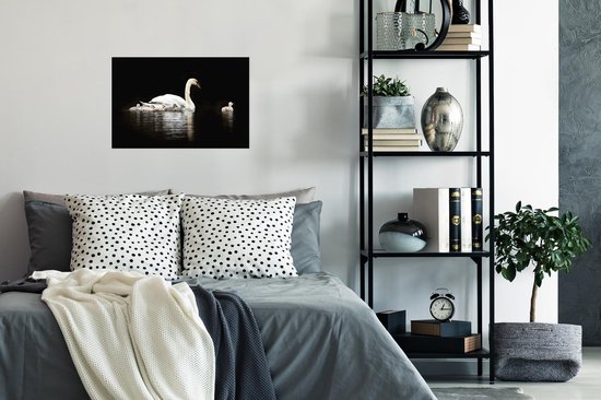 Poster Cygne - Poussin - Zwart - 30x20 cm