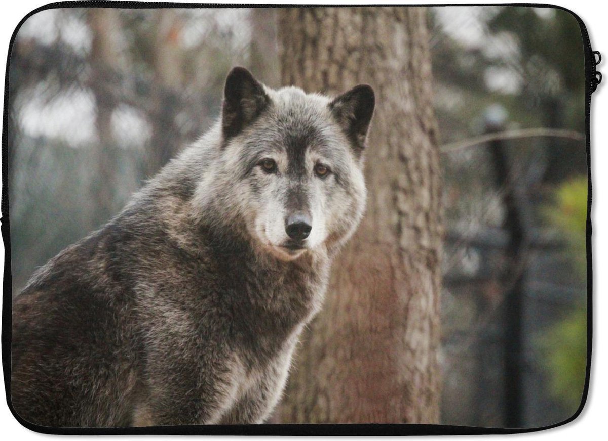 Laptophoes 14 inch - Wolf - Bos - Boom - Laptop sleeve - Binnenmaat 33x23 cm - Zwarte achterkant