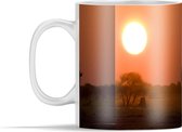 Mok - Olifant bij zonsondergang in het Nationaal park Nxai Pan - 350 ml - Beker