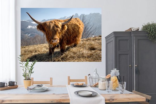 Poster Highlander écossais avec fourrure laineuse papier 180x120 cm - Tirage photo sur Poster (décoration murale salon / chambre) / Poster Animaux sauvages XXL / Groot format!