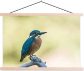 Support pour affiches avec affiche 90 x 60 cm - Affiche scolaire - Martin-pêcheur - Branche - Vogel - Affiche textile - Lattes vierges