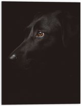 WallClassics - Dibond - Zwarte Artistieke Hond - 60x80 cm Foto op Aluminium (Met Ophangsysteem)