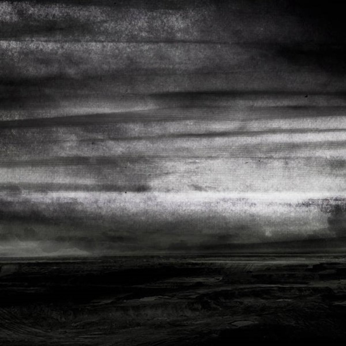 Stray Dogs - Wasteland (LP)