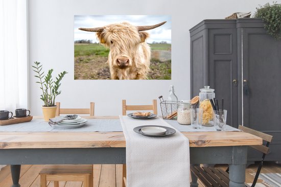 Poster Highlander écossais de couleur Wit dans le pré 120x80 cm - Tirage photo sur Poster (décoration murale salon / chambre) / Poster Animaux sauvages