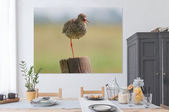 Redshank debout sur une jambe Toile 160x120 cm - Tirage photo sur toile (Décoration murale salon / chambre) XXL / Groot format!