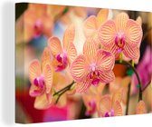 Canvas schilderij 180x120 cm - Wanddecoratie Plant - Orchidee - Bloemen - Roze - Flora - Muurdecoratie woonkamer - Slaapkamer decoratie - Kamer accessoires - Schilderijen