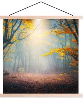 Porte-affiche avec affiche - Affiche scolaire - Forêt - Brouillard - Automne - 40x40 cm - Lattes vierges