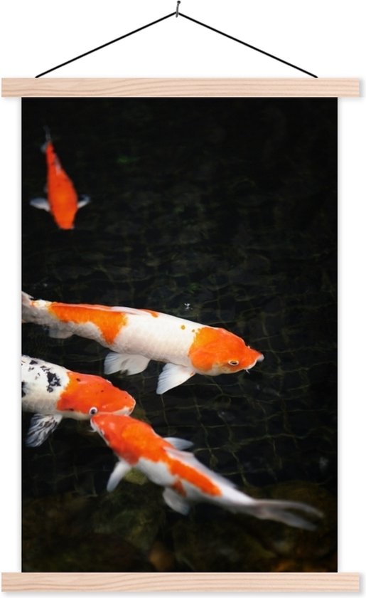 Affiche d'école de carpe koi dans un étang noir peu profond lattes plates vierges 40x60 cm - Tirage photo sur affiche textielposter (décoration murale salon / chambre)