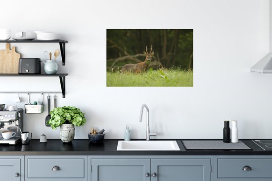 Poster Cerf pâturage papier 60x40 cm - Tirage photo sur Poster (décoration murale salon / chambre) / Poster Animaux sauvages