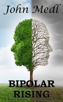 Workings of a Bipolar Mind 7 - Bipolar Rising