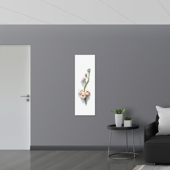Acrylglas - Roze Bloemetjes aan Groene Tak tegen Witte Achtergrond - 40x120 cm Foto op Acrylglas (Met Ophangsysteem)