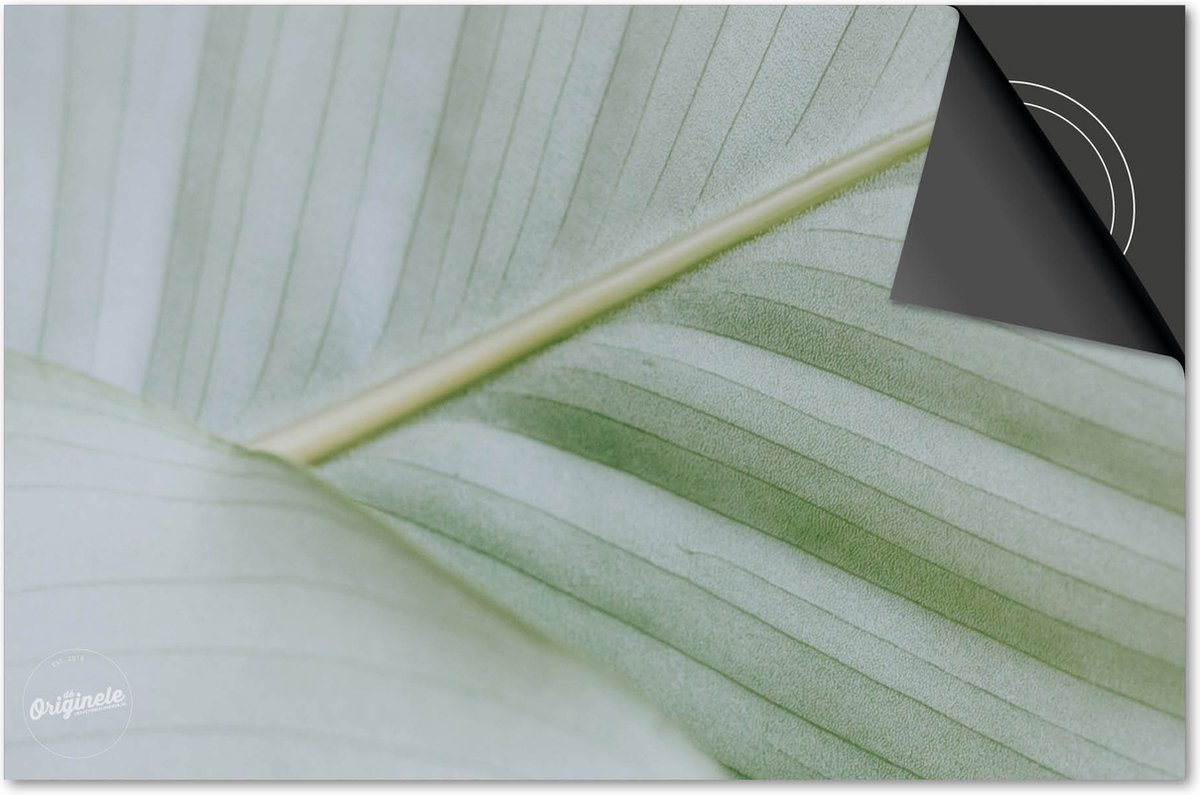 Inductie beschermer 65x52 - afdekplaat inductie mat - Dietrix Kookplaat beschermer - Exclusief - Leaves - 8 Wit groen blad van dichtbij