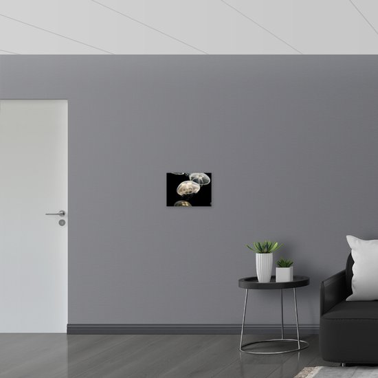 WallClassics - Drapeau - Méduse Witte sur Fond Noir - Photo 40x30 cm sur Drapeau Polyester