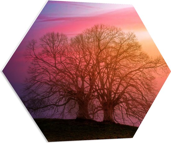 PVC Schuimplaat Hexagon - Twee Grote Kale Bomen op Heuvel tijdens Ondergaande Zon - 70x60.9 cm Foto op Hexagon (Met Ophangsysteem)