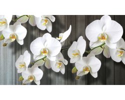 Fotobehang - Vlies Behang - Orchideeën op Houten Planken - 104 x 70,5 cm