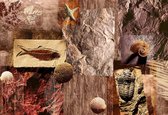 Fotobehang - Vlies Behang - Fossielen van de Zee - 208 x 146 cm