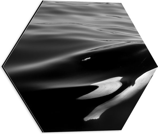 WallClassics - Dibond Hexagon - Zwart met Witte Orka aan het Wateroppervlak (Zwart- wit) - 40x34.8 cm Foto op Hexagon (Met Ophangsysteem)