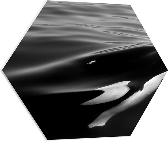 WallClassics - PVC Schuimplaat Hexagon - Zwart met Witte Orka aan het Wateroppervlak (Zwart- wit) - 70x60.9 cm Foto op Hexagon (Met Ophangsysteem)