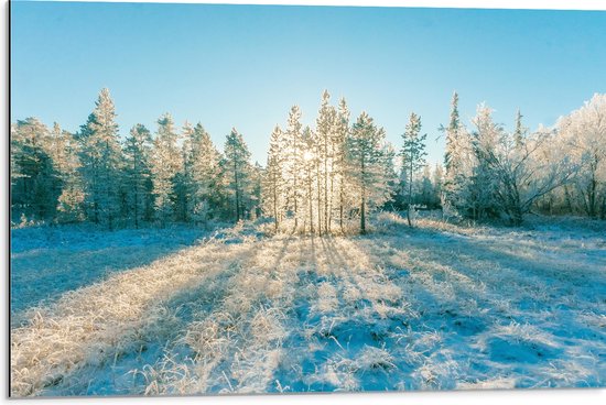 Dibond - Ochtend Zonnestralen over Wit Sneeuwlandschap - 75x50 cm Foto op Aluminium (Met Ophangsysteem)