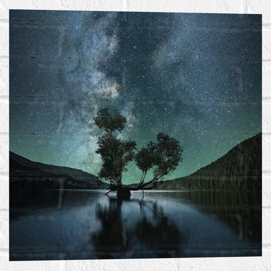 WallClassics - Muursticker - Prachtige Nacht met Sterren in de Natuur - 50x50 cm Foto op Muursticker