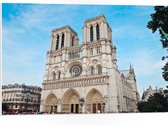 WallClassics - Plaque Mousse PVC - Cathédrale Notre-Dame - Paris - Photo 75x50 cm sur Plaque Mousse PVC (Avec Système d'accrochage)