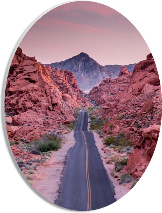 WallClassics - PVC Schuimplaat Ovaal - Weg in Valley of Fire State Park in Nevada - 21x28 cm Foto op Ovaal (Met Ophangsysteem)