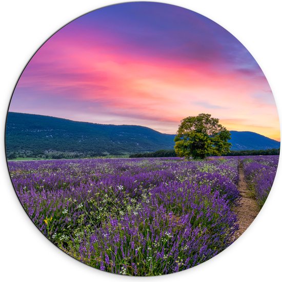 Dibond Muurcirkel - Lavendel Veld met Zonsondergang en Mooie Lucht - 70x70 cm Foto op Aluminium Muurcirkel (met ophangsysteem)