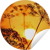 Tuincirkel Planten - Bloemen - Zonsondergang - Oranje - 60x60 cm - Ronde Tuinposter - Buiten