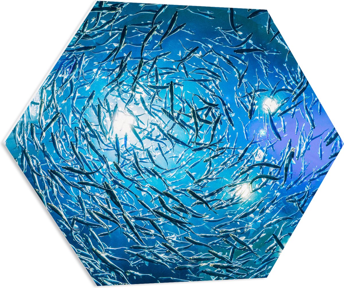PVC Schuimplaat Hexagon - School Vissen in een Groot Aquarium - 80x69.6 cm Foto op Hexagon (Met Ophangsysteem)
