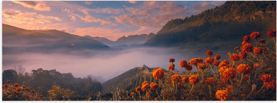 Poster (Mat) - Oranje Bloemenveld boven Wolkendek op Bergen - 150x50 cm Foto op Posterpapier met een Matte look