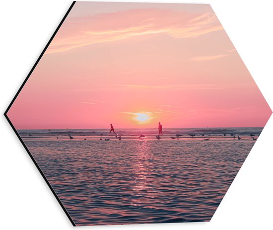 Dibond Hexagon - Roze Zonsondergang aan Zee met Meeuwen - 30x26.1 cm Foto op Hexagon (Met Ophangsysteem)