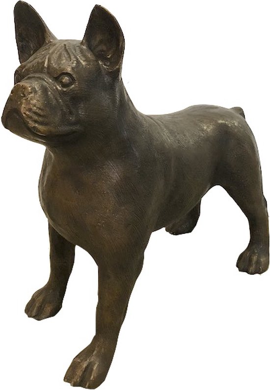 Prachtig bronzen beeld van een hond, Bronze dog, hoogte: 50 cm breedte: 20 cm lengte: 45 cm
