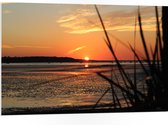 WallClassics - PVC Schuimplaat - Zonsondergang aan Zee - 105x70 cm Foto op PVC Schuimplaat (Met Ophangsysteem)