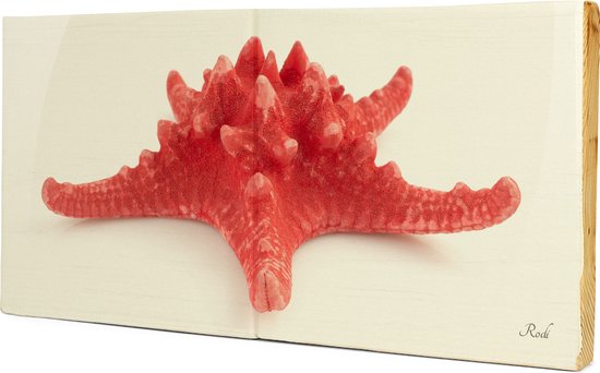 Zeester rood - 2x1 Steigerhout Tegeltableau