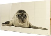 Zeehond groot - 4x2 Steigerhout Tegeltableau