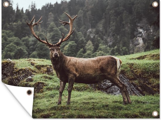 Poster de jardin Cerf - Arbre - Berg - 120x90 cm - Décoration murale Outdoor - Poster de jardin - Toile de jardin - Poster de clôture - Tableau de jardin