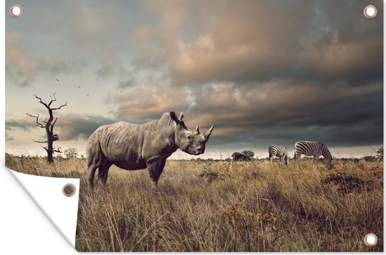 Tuindecoratie Neushoorn - Zebra's - Safari - 60x40 cm - Tuinposter - Tuindoek - Buitenposter