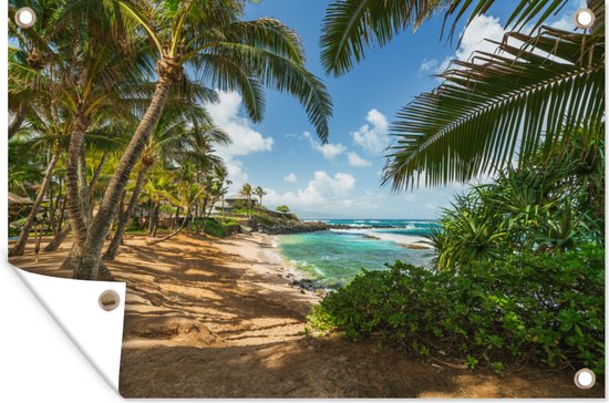 Affiche exotique Kuau Cove Beach située sur Hawaii Garden 120x80 cm - Toile de jardin / Toile d'extérieur / Peintures pour l'extérieur (décoration de jardin)