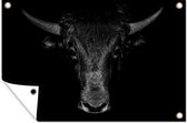 Tuindecoratie Stier - Dieren - Zwart - Wit - 60x40 cm - Tuinposter - Tuindoek - Buitenposter