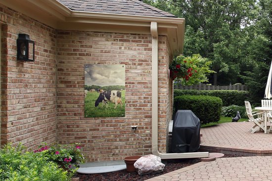 Tableau jardin Vaches - Pâturage - Nature - Animaux - Paysage - 60x80 cm - Poster jardin