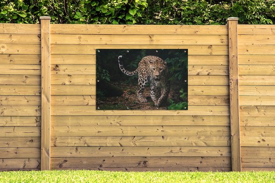 Affiche de jardin - Toile de jardin - Posters de jardin extérieur - Animaux sauvages - Léopard - Jungle - Nature - 120x80 cm - Jardin