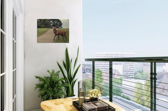 Décoration de Jardin Cerf - Vert - Herbe - 40x30 cm - Toile de jardin - Poster extérieur