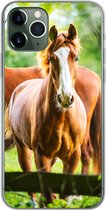 Geschikt voor iPhone 11 Pro hoesje - Paarden - Licht - Weide - Siliconen Telefoonhoesje