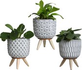 Comforder 3x Bloempot op Standaard - Ø8 x H11 cm - Bloempot op Poten/Voet/Pootjes - Binnen & Buiten