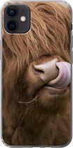 Geschikt voor iPhone 12 mini hoesje - Schotse Hooglander - Bruin - Koe - Siliconen Telefoonhoesje